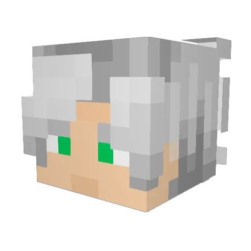 Bilboy634 Minecraft avatar head, 3D render