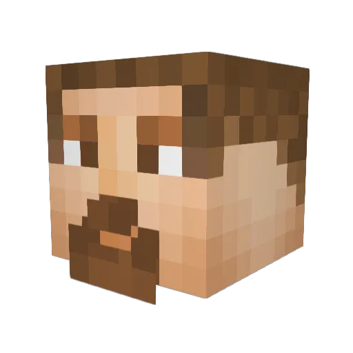 Bilderberger Minecraft avatar head, 3D render