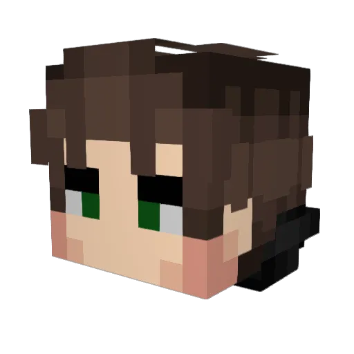BileGyr Minecraft avatar head, 3D render