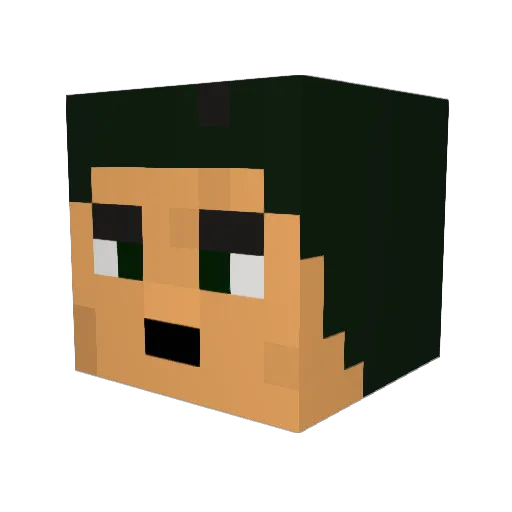 Bilflo_Beutlin Minecraft avatar head, 3D render