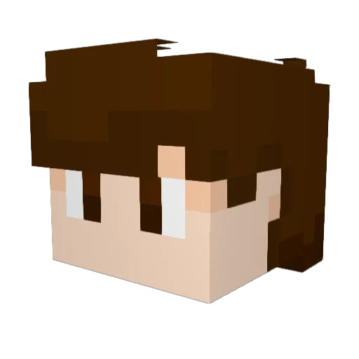 Bilgandoogi Minecraft avatar head, 3D render