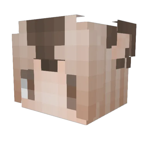 Bili_Ender Minecraft avatar head, 3D render