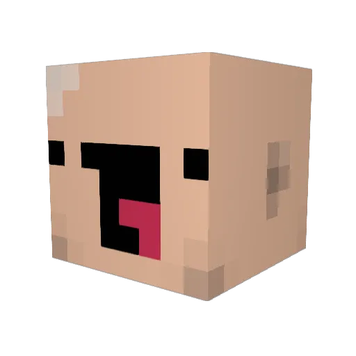 BilinearFish427 Minecraft avatar head, 3D render