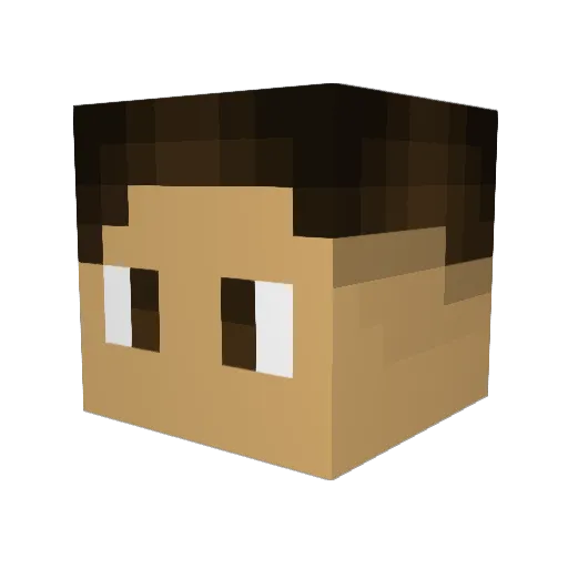 Bilkins_ Minecraft avatar head, 3D render