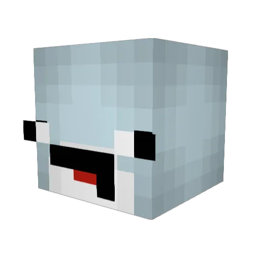 BillBoi2011 Minecraft avatar head, 3D render