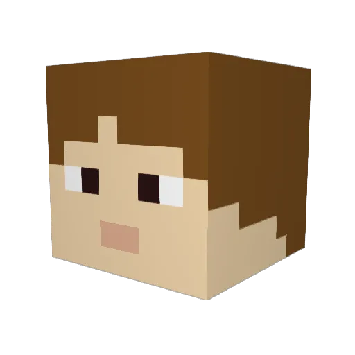 BillChamp Minecraft avatar head, 3D render