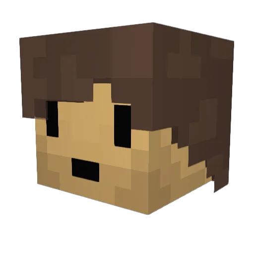 Bill_Kasta Minecraft avatar head, 3D render