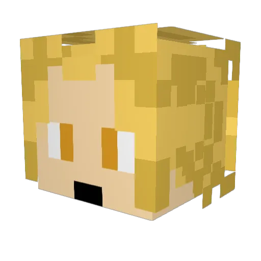 Bill_bo_Baggins Minecraft avatar head, 3D render