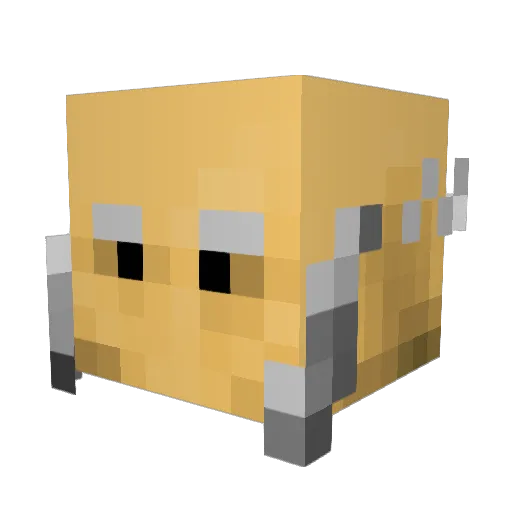 BilleFar Minecraft avatar head, 3D render