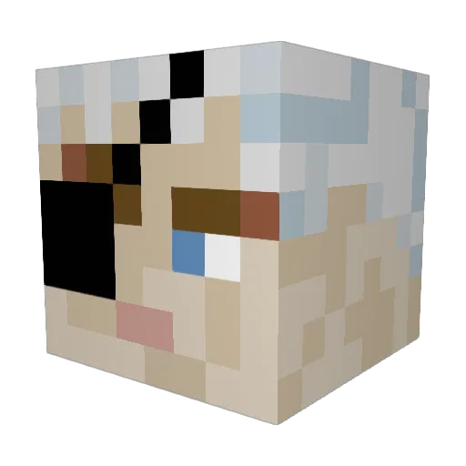 Billh210 Minecraft avatar head, 3D render