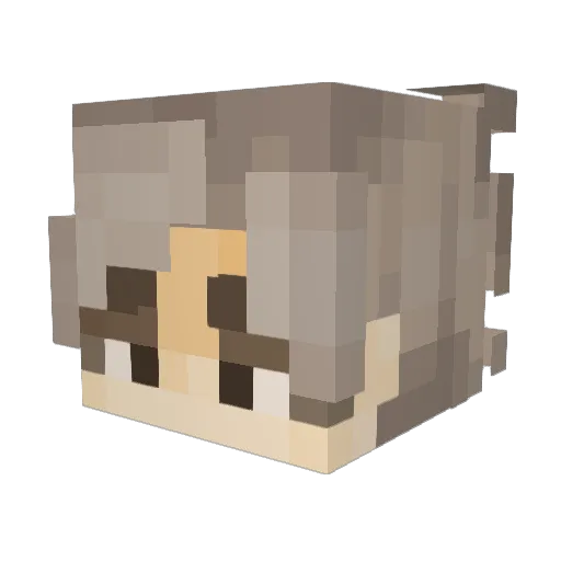 Billi_Bob4 Minecraft avatar head, 3D render