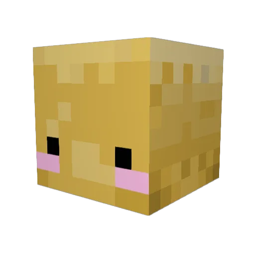 Billibub Minecraft avatar head, 3D render