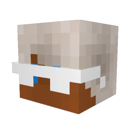 BilligeBajere Minecraft avatar head, 3D render