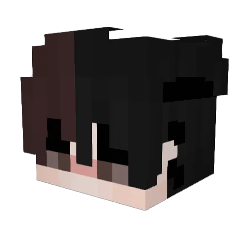 Billionheadz Minecraft avatar head, 3D render
