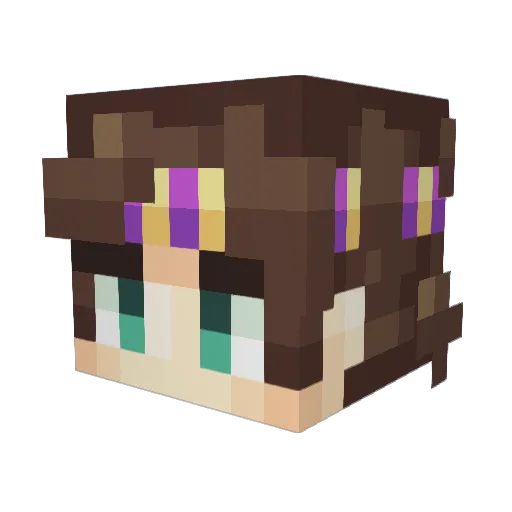 BilltheAlcho Minecraft avatar head, 3D render