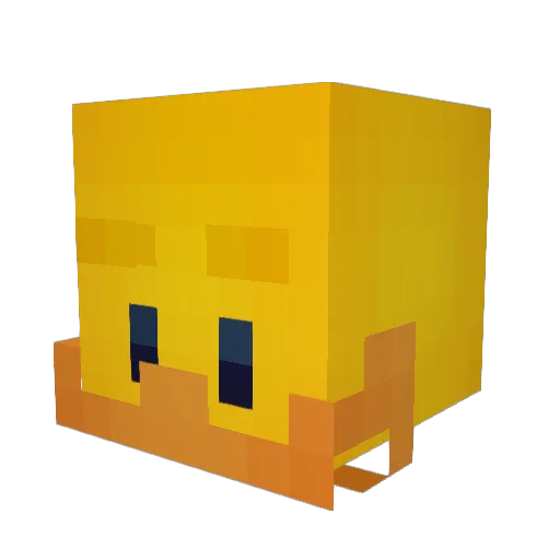 Billthesleeper Minecraft avatar head, 3D render