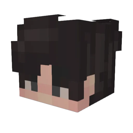 BillusThecat Minecraft avatar head, 3D render