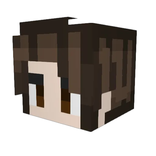 BillyBoy134 Minecraft avatar head, 3D render