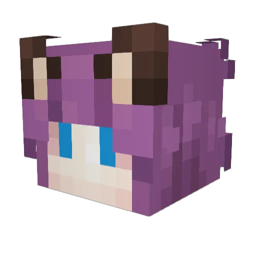 BillyMcBobberson Minecraft avatar head, 3D render