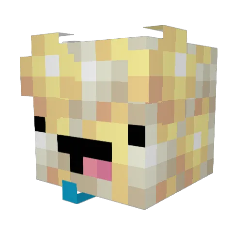 BillySherman Minecraft avatar head, 3D render