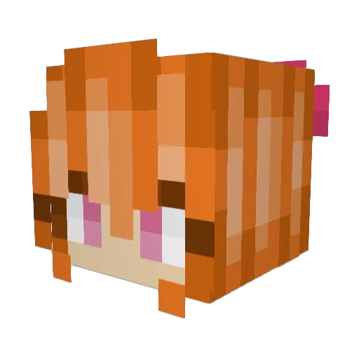 BillySushi Minecraft avatar head, 3D render