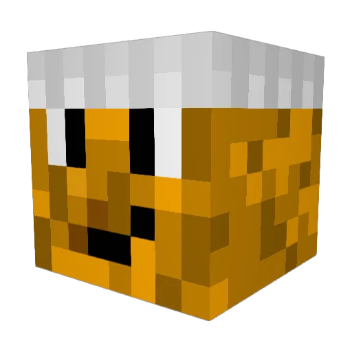 Billy_der_Koch Minecraft avatar head, 3D render