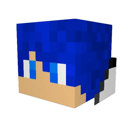 Billye2375 Minecraft avatar head, 3D render