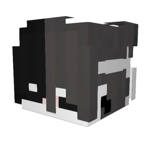 Billzintx Minecraft avatar head, 3D render
