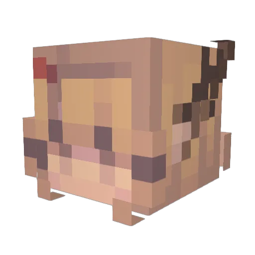 Billzoned_ Minecraft avatar head, 3D render