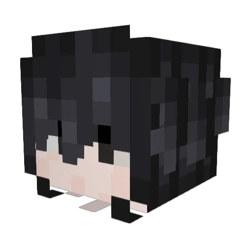 Bilocan31 Minecraft avatar head, 3D render