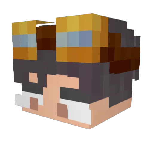 Bilong2810 Minecraft avatar head, 3D render