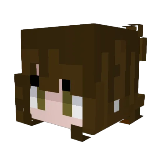 BiluShiny Minecraft avatar head, 3D render