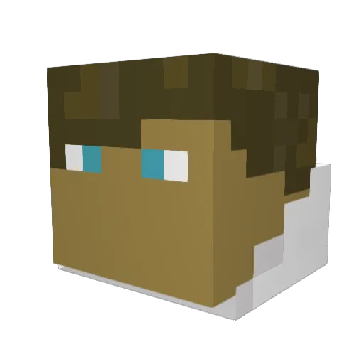 Bilugrim Minecraft avatar head, 3D render