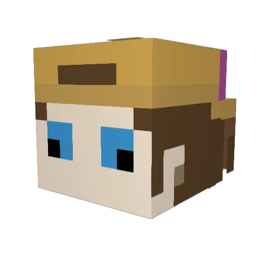 BilzTiretdusix Minecraft avatar head, 3D render