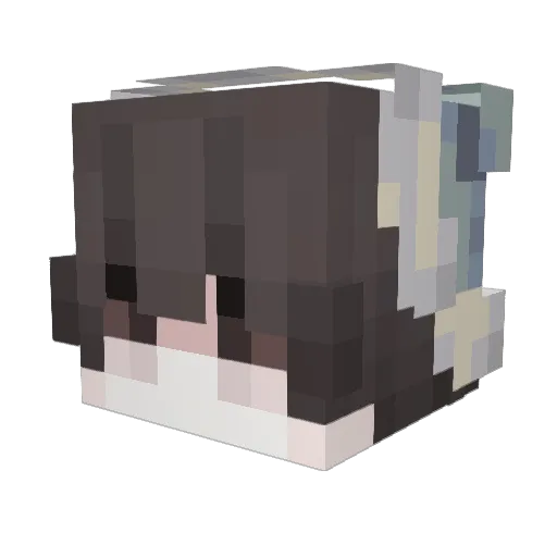Bim0705 Minecraft avatar head, 3D render