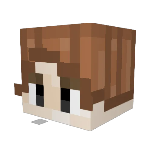 BimJonas Minecraft avatar head, 3D render