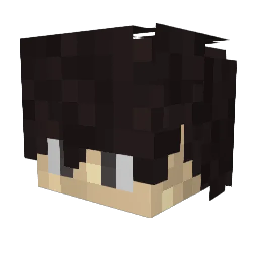 Bim_Der_Ali Minecraft avatar head, 3D render