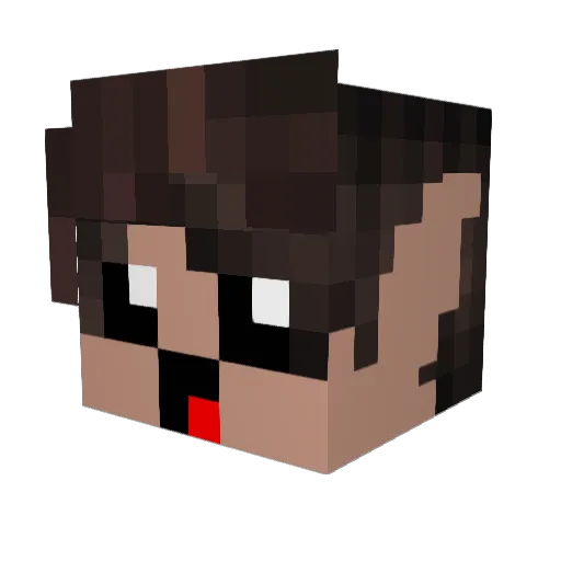 BimberekPl Minecraft avatar head, 3D render