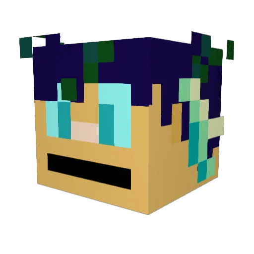 BimblyNimbly Minecraft avatar head, 3D render