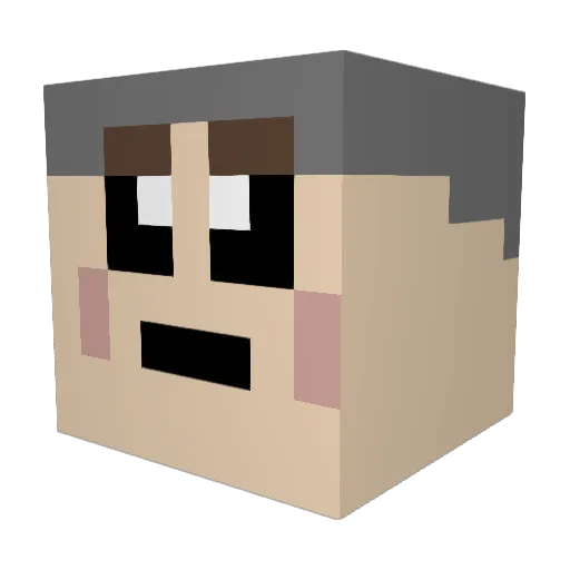 Bimbobaggins518 Minecraft avatar head, 3D render