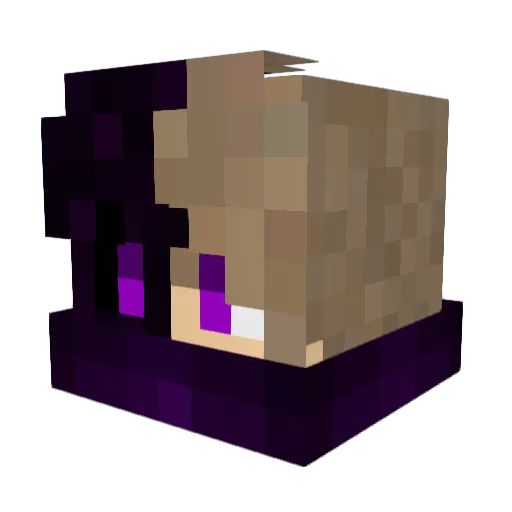 BimmBamm Minecraft avatar head, 3D render