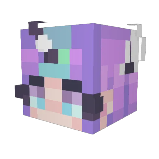 Bimminz Minecraft avatar head, 3D render