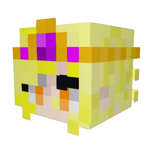 Bimpol Minecraft avatar head, 3D render