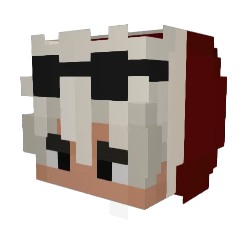 BimsssIV Minecraft avatar head, 3D render