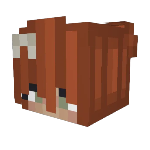 BinAmy_ Minecraft avatar head, 3D render