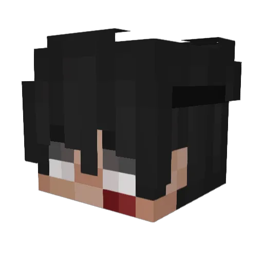 BinAusDerPuste Minecraft avatar head, 3D render