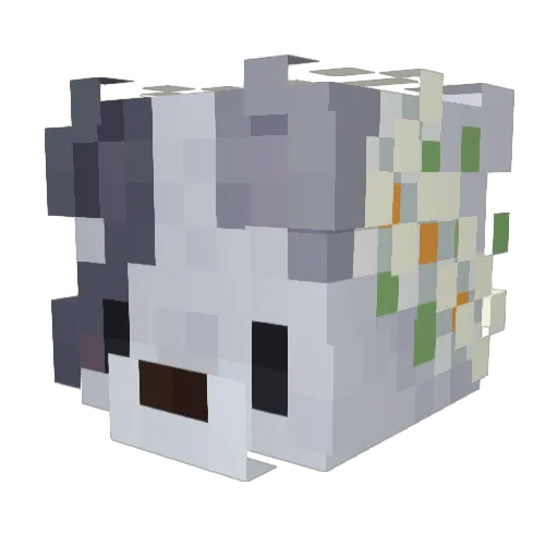 BinBan123 Minecraft avatar head, 3D render