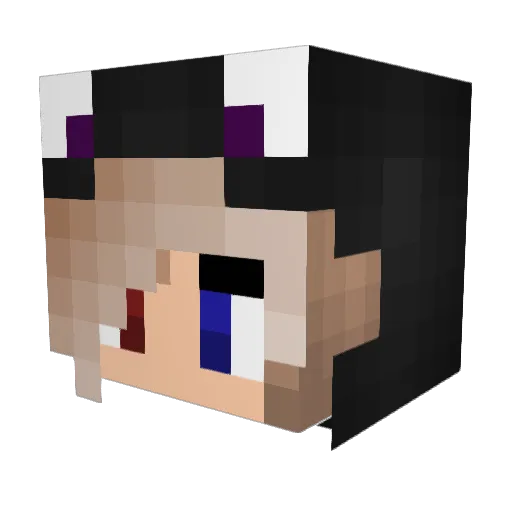 BinFlauschiger Minecraft avatar head, 3D render