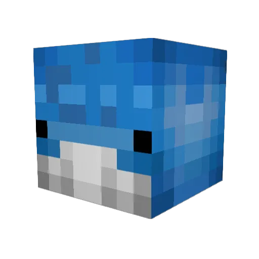 BinKeinWal Minecraft avatar head, 3D render