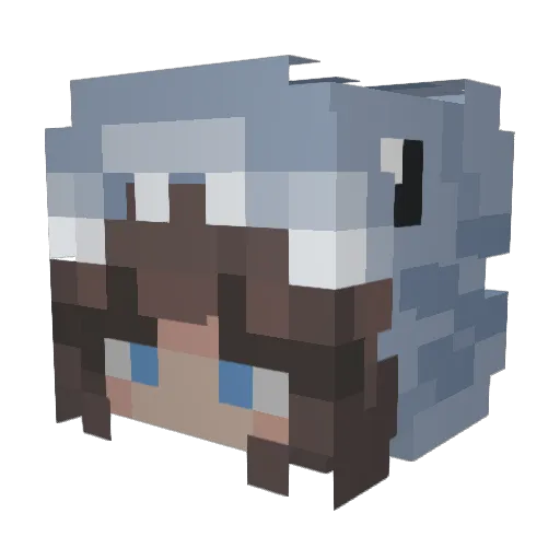 BinXTaconX Minecraft avatar head, 3D render